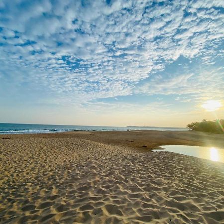 Eco Cabanas Marakolliya タンガラ エクステリア 写真