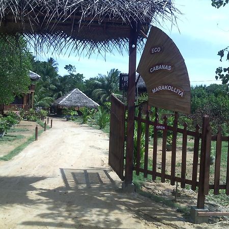 Eco Cabanas Marakolliya タンガラ エクステリア 写真
