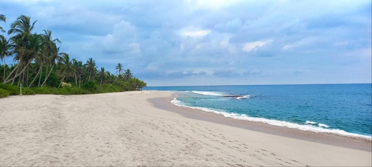 Eco Cabanas Marakolliya タンガラ エクステリア 写真