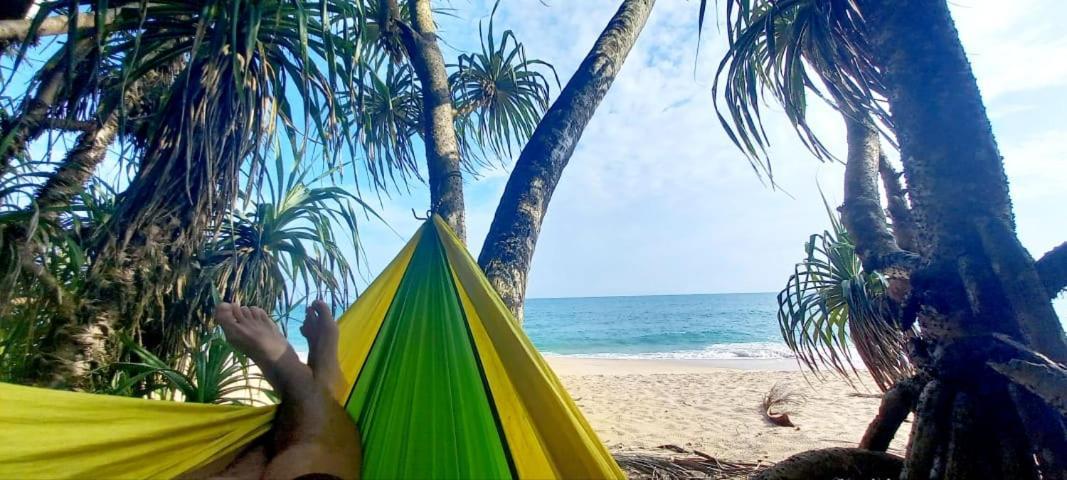 Eco Cabanas Marakolliya タンガラ エクステリア 写真