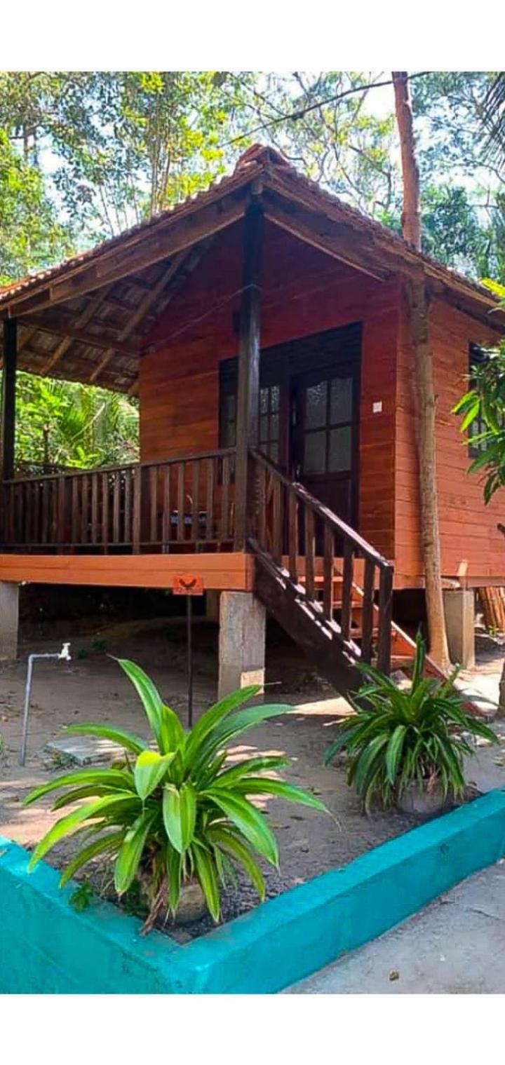 Eco Cabanas Marakolliya タンガラ エクステリア 写真