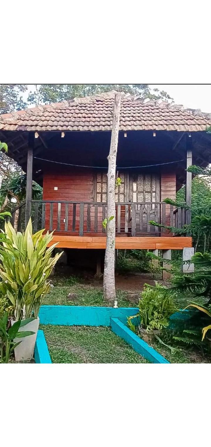 Eco Cabanas Marakolliya タンガラ エクステリア 写真