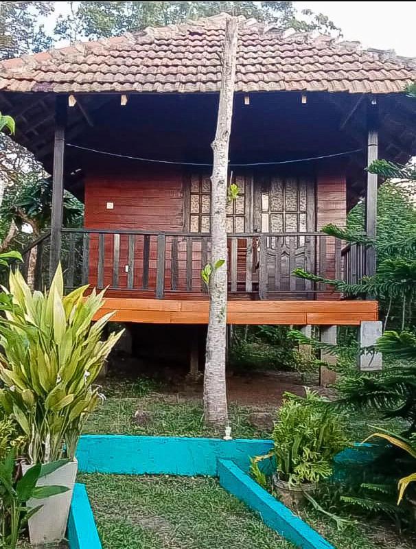 Eco Cabanas Marakolliya タンガラ 部屋 写真