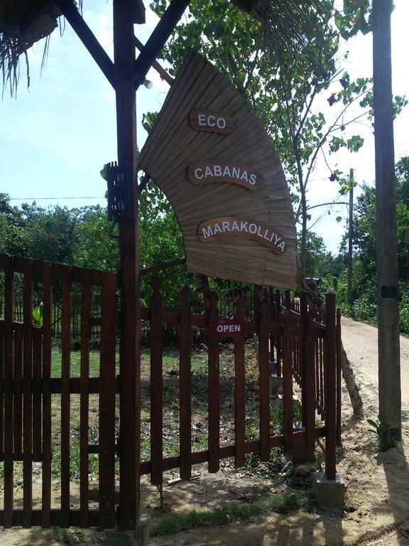 Eco Cabanas Marakolliya タンガラ エクステリア 写真