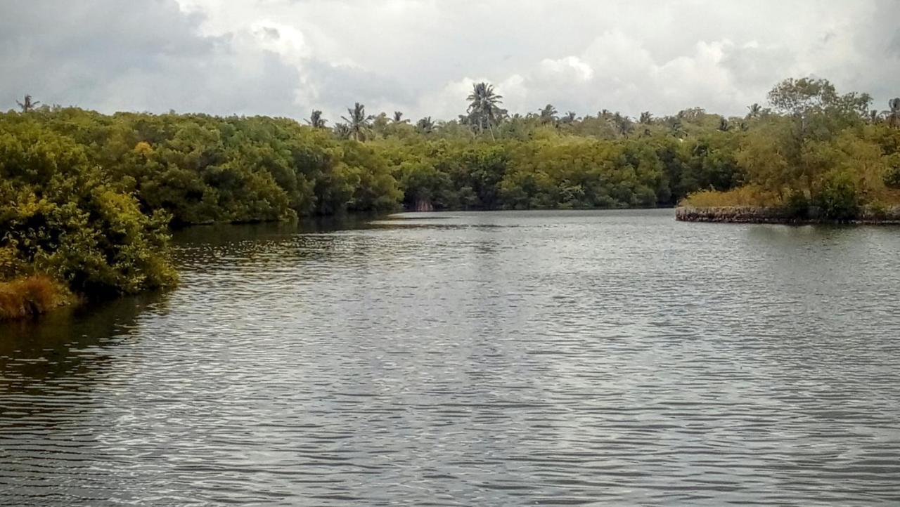 Eco Cabanas Marakolliya タンガラ エクステリア 写真