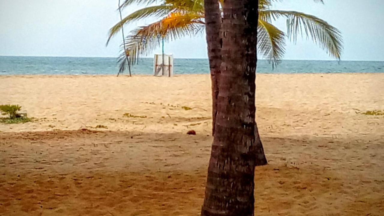 Eco Cabanas Marakolliya タンガラ エクステリア 写真