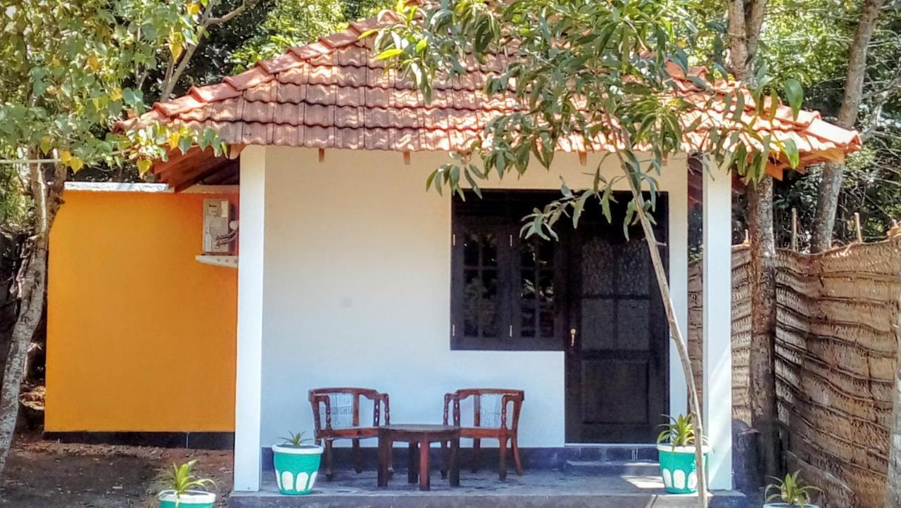 Eco Cabanas Marakolliya タンガラ エクステリア 写真